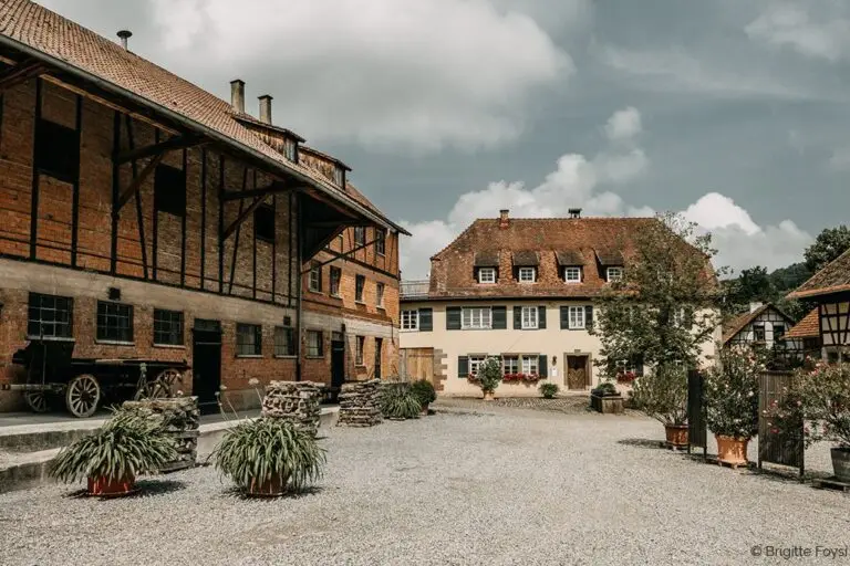Steinbachhof-Hochzeit-Feldscheune-Innenhof-4-1024x683-1